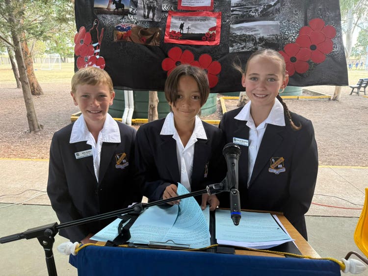 No photo description available.